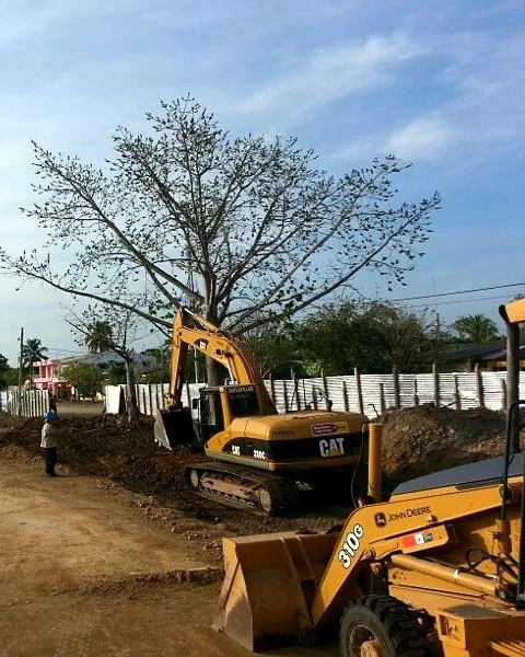 Excavación con maquinaria — Excavadora sobre oruga y retroexcavadora en obra — Metalworks Energy